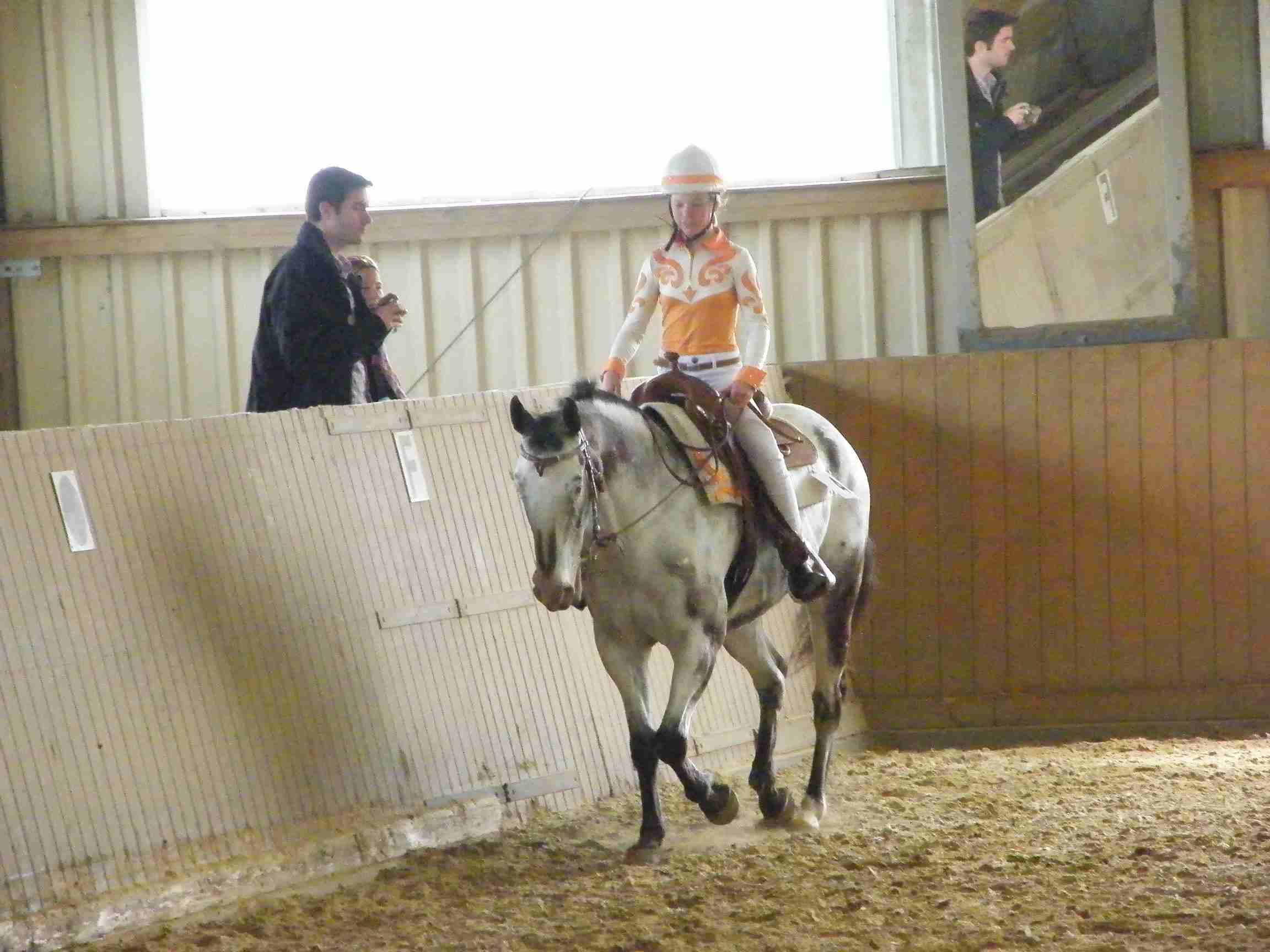 Bild: Luzie