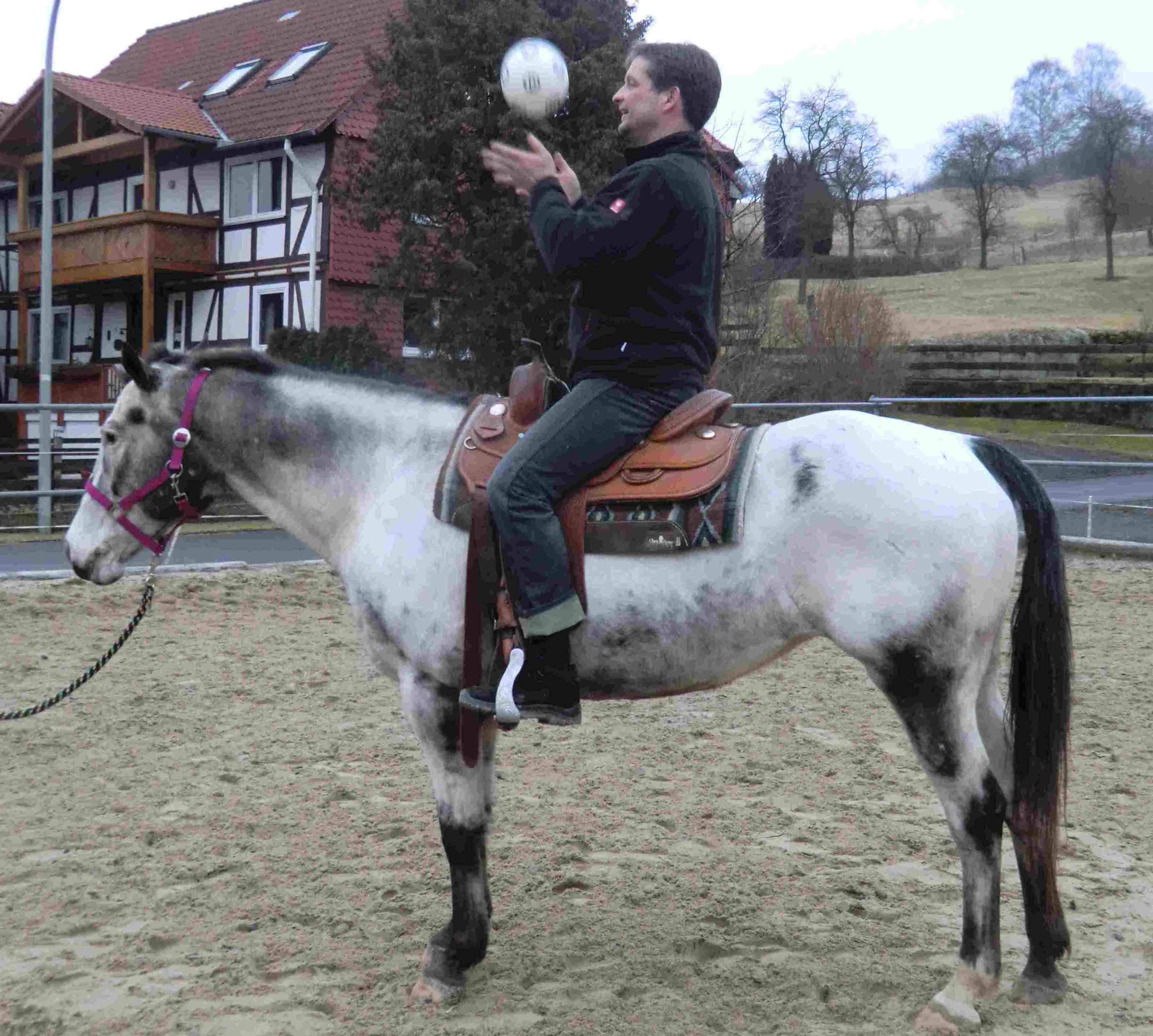 Bild: Reiten als Gesundheitssport1