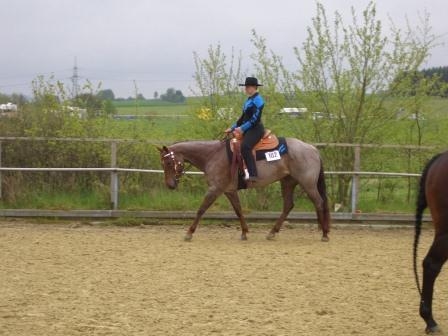 Bild 4 All-Around Quarterhorse Ima Blazin Serenade