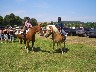Bild: Reitsch&uuml;ler Katharina und Sophia